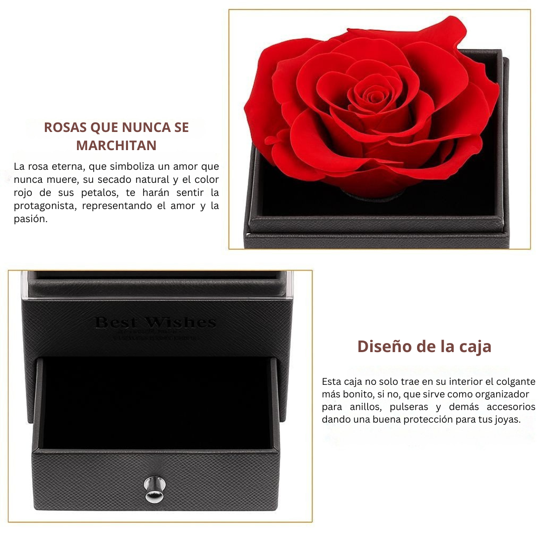 Colgante Corazón Rojo Rosa Inmortal